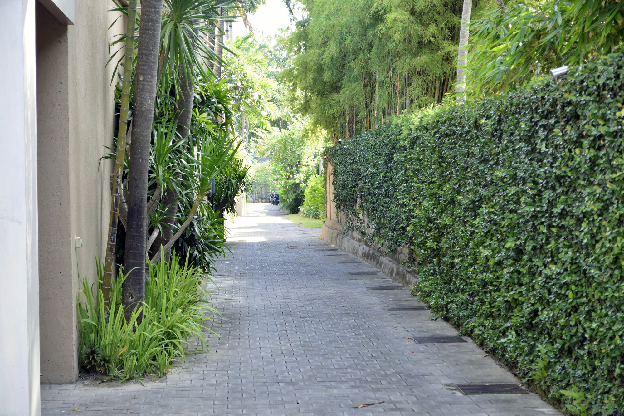 Sienna Villas - Chse Certified Seminyak Exteriér fotografie